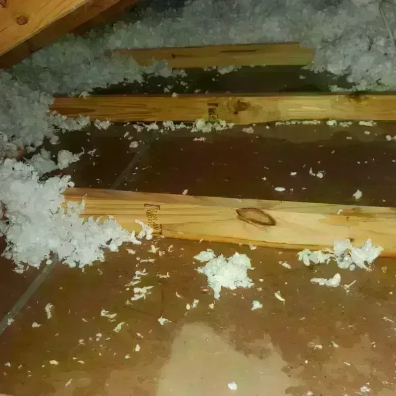 Attic Water Damage in Hill Air Force Base, UT